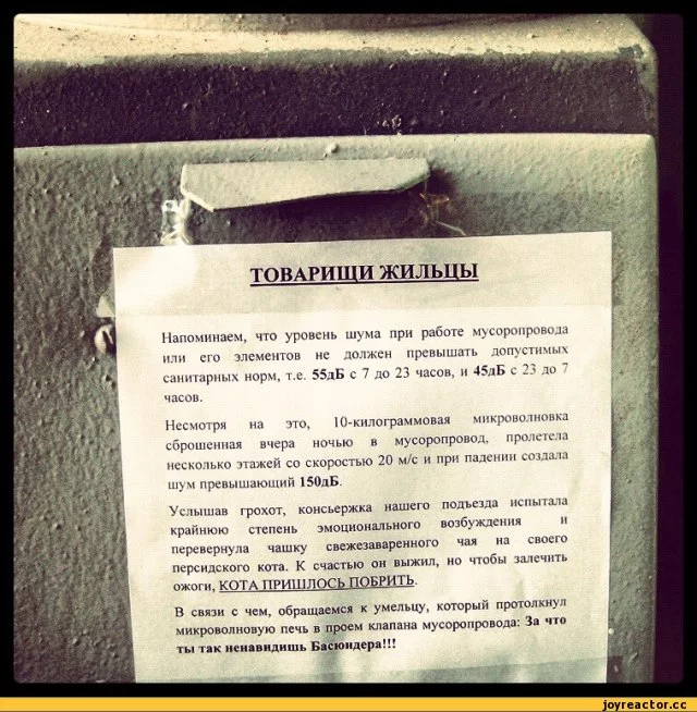 %D0%B0%D1%88%D0%BA%D0%B0-%D0%BA%D0%BE%D1%82-370567.webp