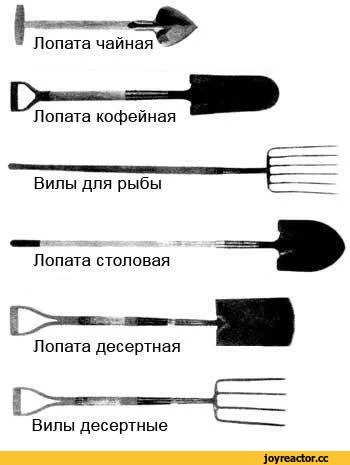%D0%B2%D1%80%D0%BE%D0%BF%D0%BE%D0%BB%D1%8C-1962643.webp