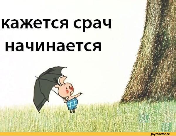 %D0%B4%D0%B5%D1%82-%D1%81%D1%80%D0%B0%D1%87-934449.jpg