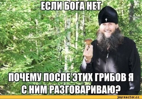 %D0%B5%D1%82-%D0%B3%D1%80%D0%B8%D0%B1%D1%8B-653816.webp