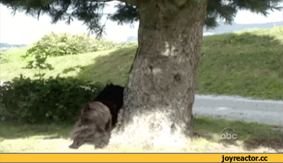 %D0%B8%D0%B2%D0%BD%D0%BE%D1%81%D1%82%D1%8C-1061342.gif