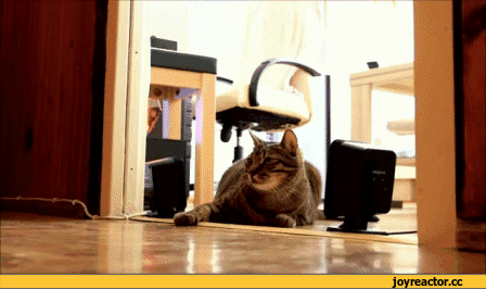 %D0%B8%D0%B2%D0%BD%D0%BE%D1%81%D1%82%D1%8C-1259135.gif