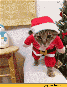 %D0%B8%D0%B2%D0%BD%D0%BE%D1%81%D1%82%D1%8C-1761959.gif