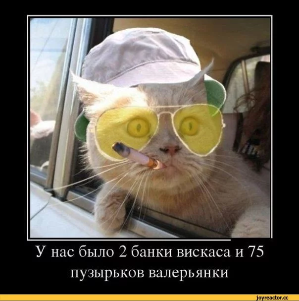 %D0%B8-%D0%BA%D0%BE%D0%BA%D0%B0%D0%B8%D0%BD-605508.webp