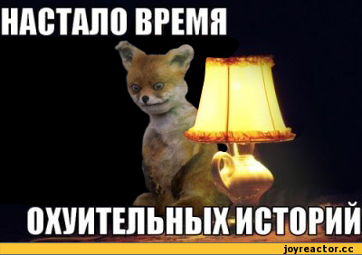 %D0%B8%D1%86%D0%B0-%D0%BA%D0%BE%D1%82%D1%8D-789585.jpg