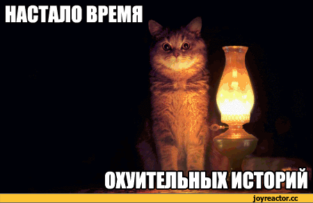 %D0%B8%D1%86%D0%B0-%D0%BA%D0%BE%D1%82%D1%8D-789748.gif