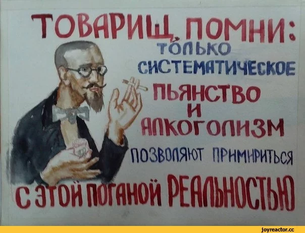 %D0%BA%D0%BE%D1%82%D0%B8%D0%BA%D0%BE%D0%B2-1162067.webp