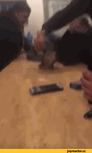 D0%BB-%D0%B4%D1%80%D1%83%D0%B7%D1%8C%D1%8F-3509518.gif