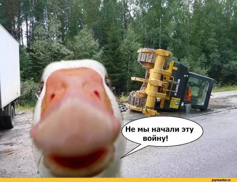 %D0%BB%D0%B8%D0%B7%D0%B0%D1%86%D0%B8%D1%8F-2340400.webp