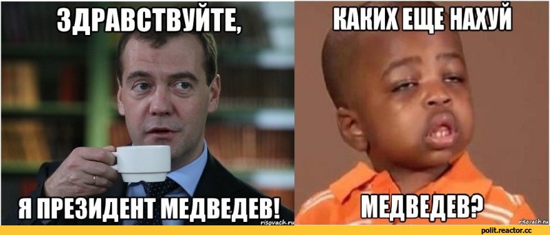 -%D0%BC%D0%B5%D0%B4%D0%B2%D0%B5%D0%B4%D0%B8-627890.jpg