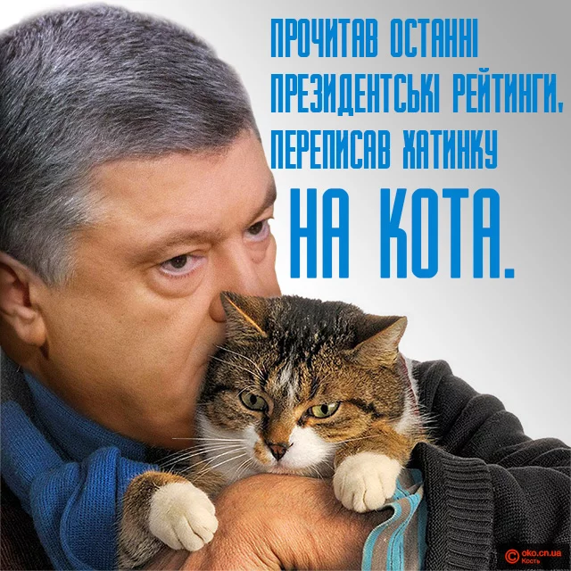 %D0%BD%D0%B0-%D0%BA%D0%BE%D1%82%D0%B0.webp