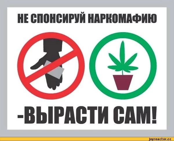 -%D0%BD%D0%B0%D1%80%D0%BA%D0%BE%D1%82%D0%B0-280114.webp
