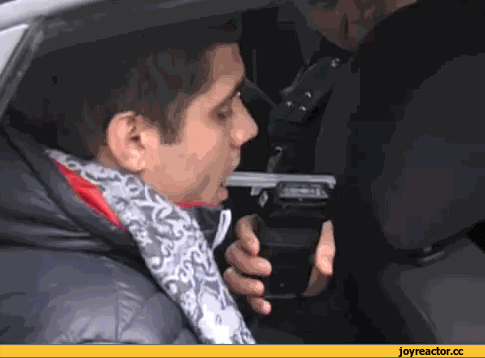 D0%BD%D0%B8%D1%82%D0%B5-%D0%B3%D0%B0%D0%B8-1105907.gif