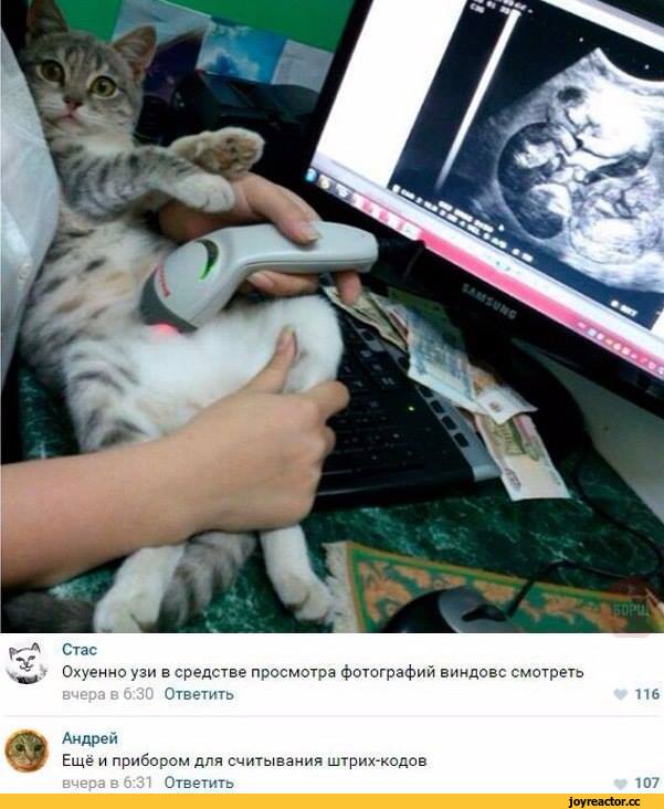 D0%BD%D1%88%D0%BE%D1%82-%D1%83%D0%B7%D0%B8-3503980.jpg