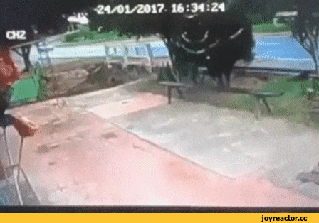 D0%BE%D0%BA%D0%B0-%D0%BA%D0%BE%D0%BB%D0%B0-3635208.gif