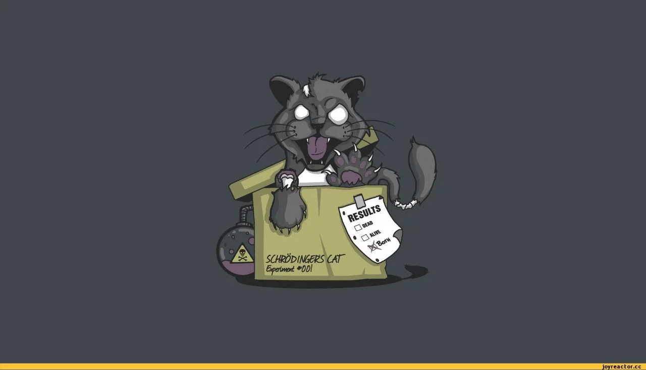 %D0%BE%D0%BC%D0%B1%D0%B8-%D0%BA%D0%BE%D1%82-399084.webp