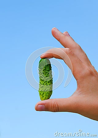 D0%BE%D1%80%D0%BD%D0%B8%D1%88%D0%BE%D0%BD-15689075.jpg
