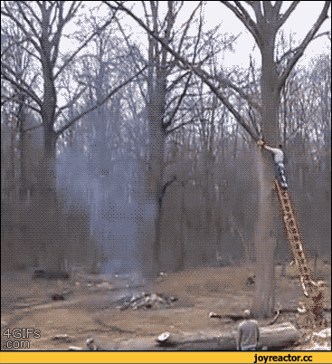 %D0%BF%D0%BE%D0%B2%D0%B5%D0%B7%D0%BB%D0%BE-1220642.gif