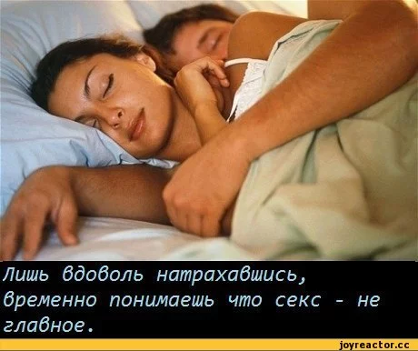 -%D0%BF%D1%80%D0%B8%D0%BA%D0%BE%D0%BB%D1%8B-392199.webp
