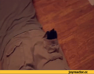 %D0%BF%D1%80%D0%BE%D0%B4%D0%B0%D0%B6%D0%B0-1462825.gif