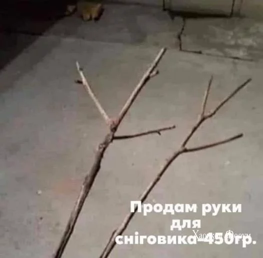 d0093e654478ffd6.webp