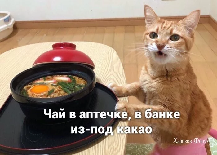 d030f5b83a0421128.webp