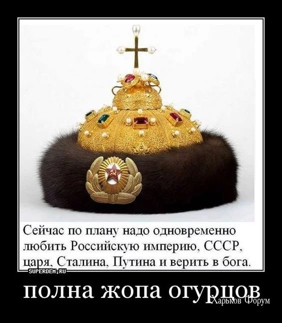 d035bf2a967cb0ab4c676e.webp