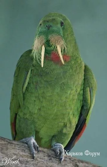 d03d17976d85896e036ab.webp