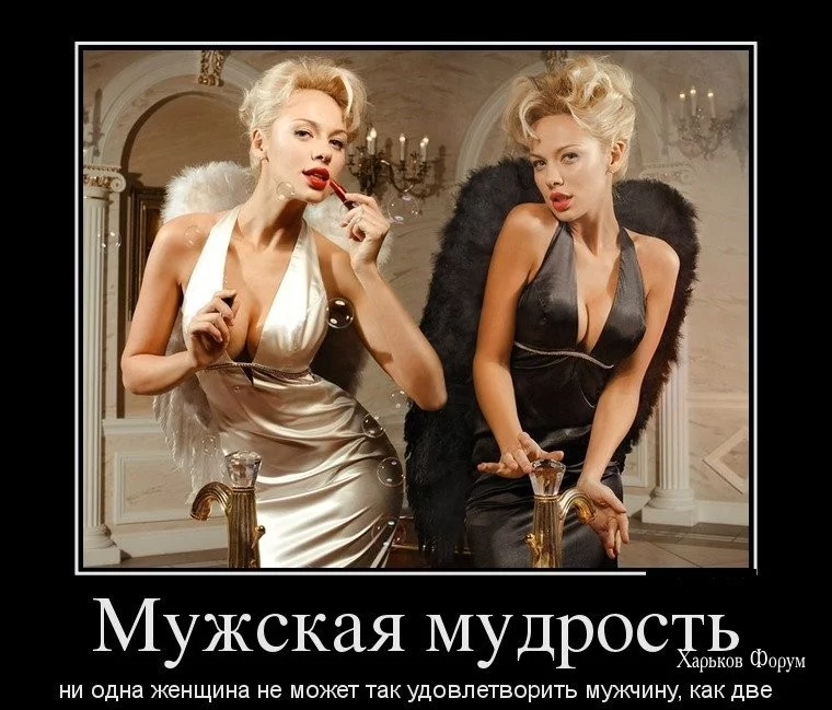 d04024faf8de07d400887.webp