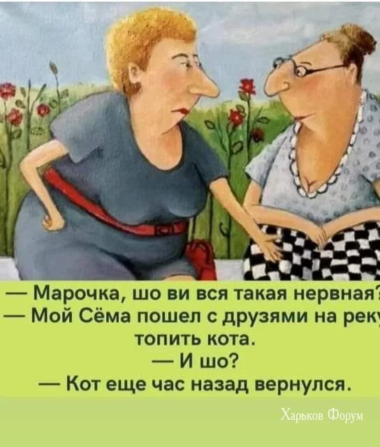 d0449d66576b137ca8e.webp