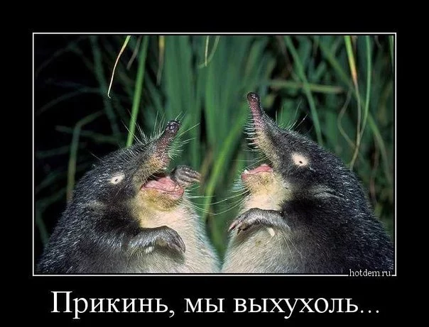 d04880b674e11c069ad4b7fdbc0bf5e08f9ca07a.webp