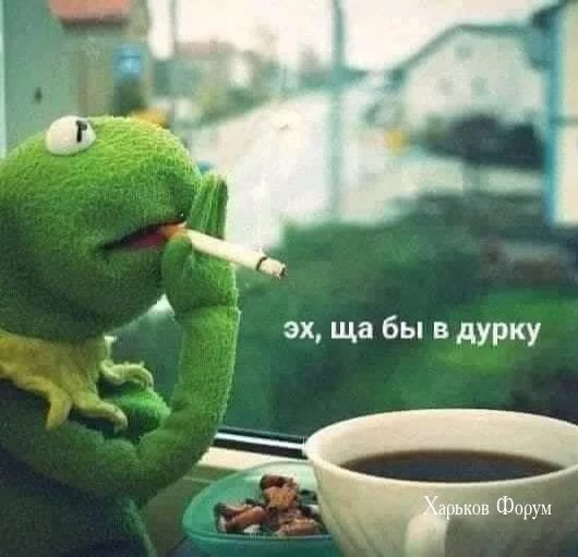 d04dbb4ceee546b4d4b6b33.webp