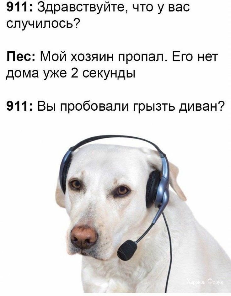 d05ea4fb6c8ab1128b7da3c8.jpg