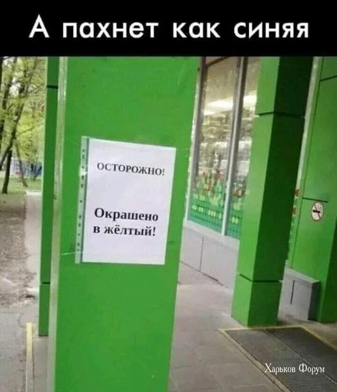 d06c45ba79fa147ca83c269e.webp