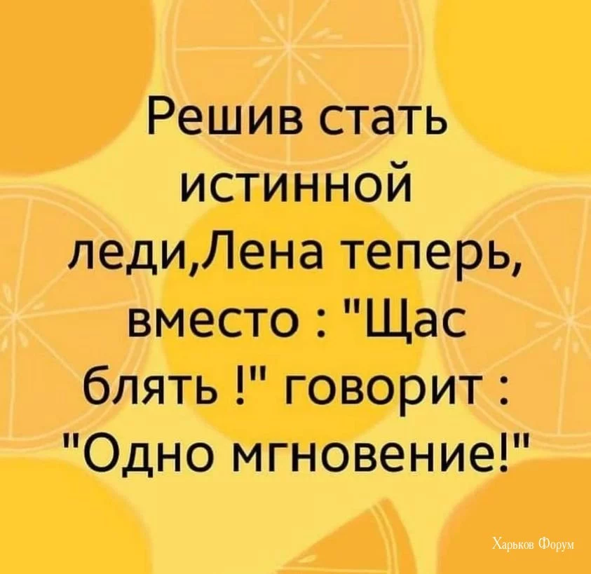 d06ecbc4fc8a4bdafe.webp