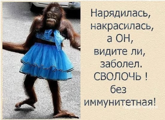 d0790d8af8f9fa0a9.jpg