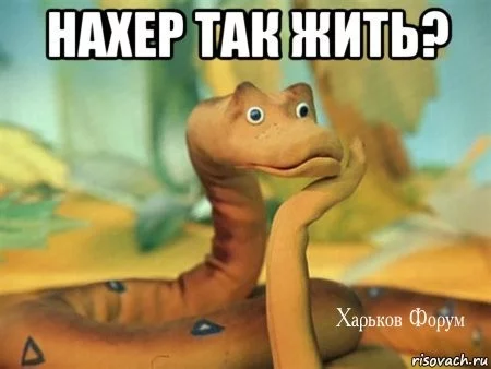 d0a78e403f3e89584a9ae22.webp