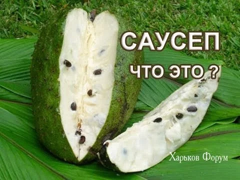 d0ab760a496fcac315.webp