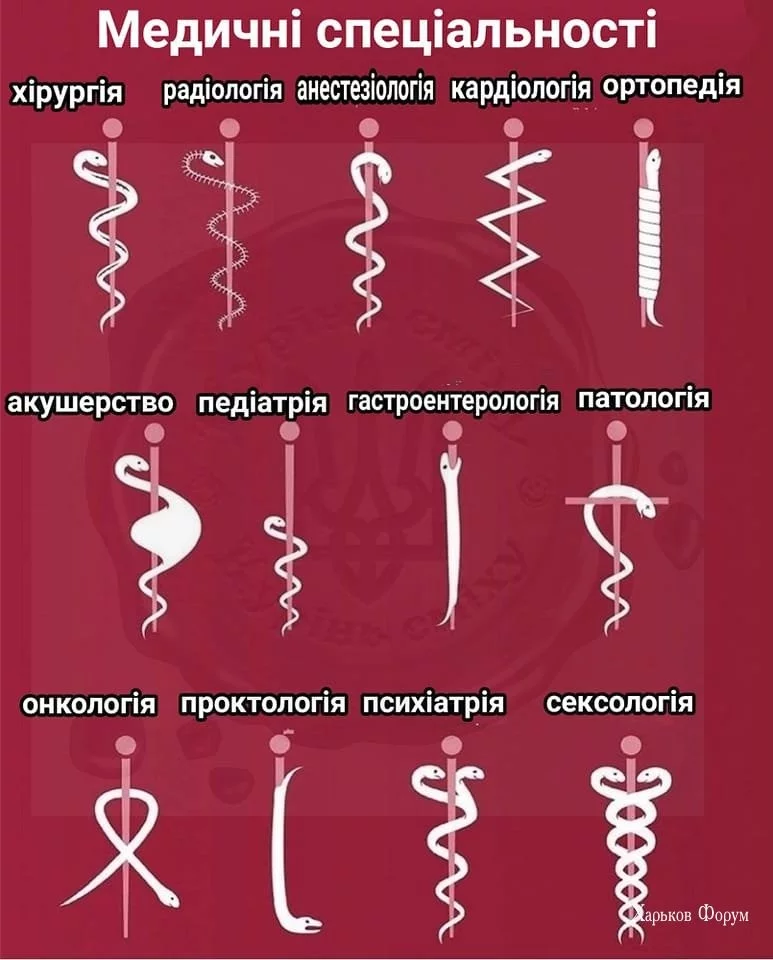 d0b598ed37a6910400a40.webp