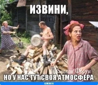 d0b631b1123423108.webp