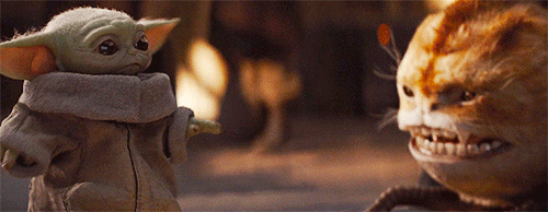d0d299f0b50fd7633d2448b3667ee84fa1bc7a21.gif