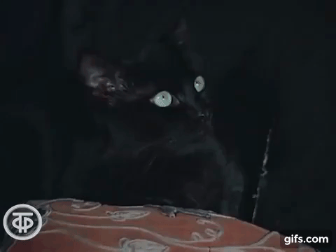 d0e4d0fb2c60914d64f7998.gif