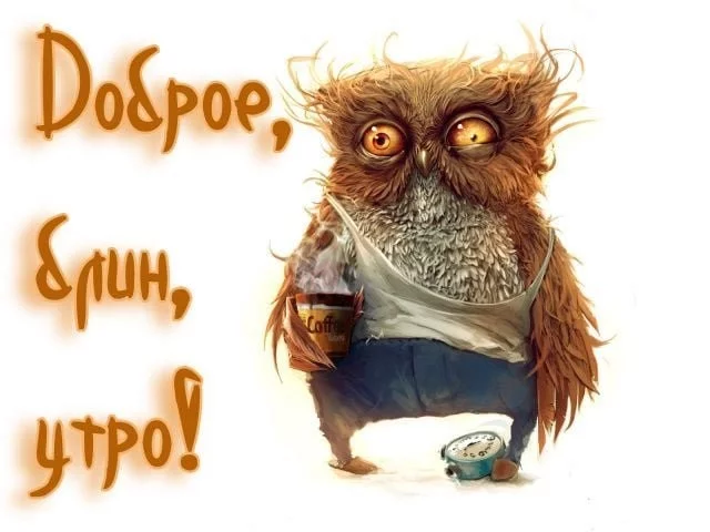 d0e83048f99407a32f33ae8.webp
