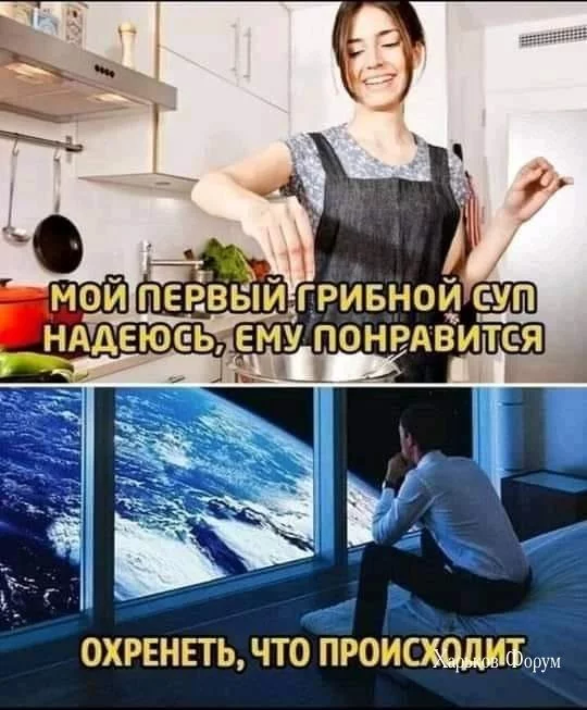 d0ebb9c8dc6a34270.webp