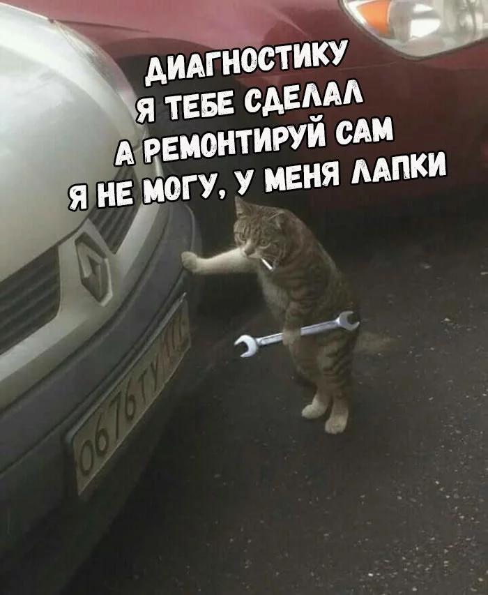 d0gbfg.webp