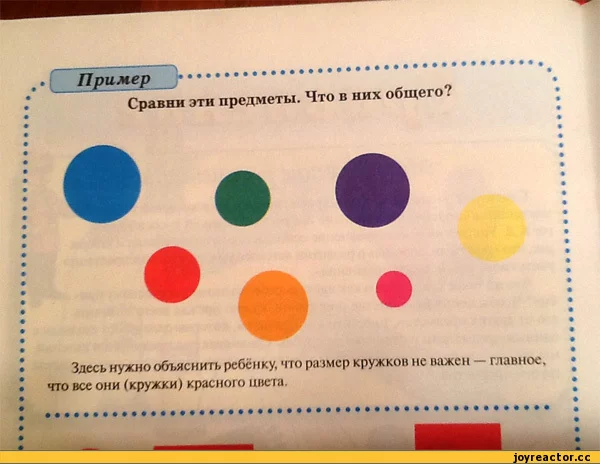 %D1%80%D1%83%D0%B3-%D1%86%D0%B2%D0%B5%D1%82-623568.webp