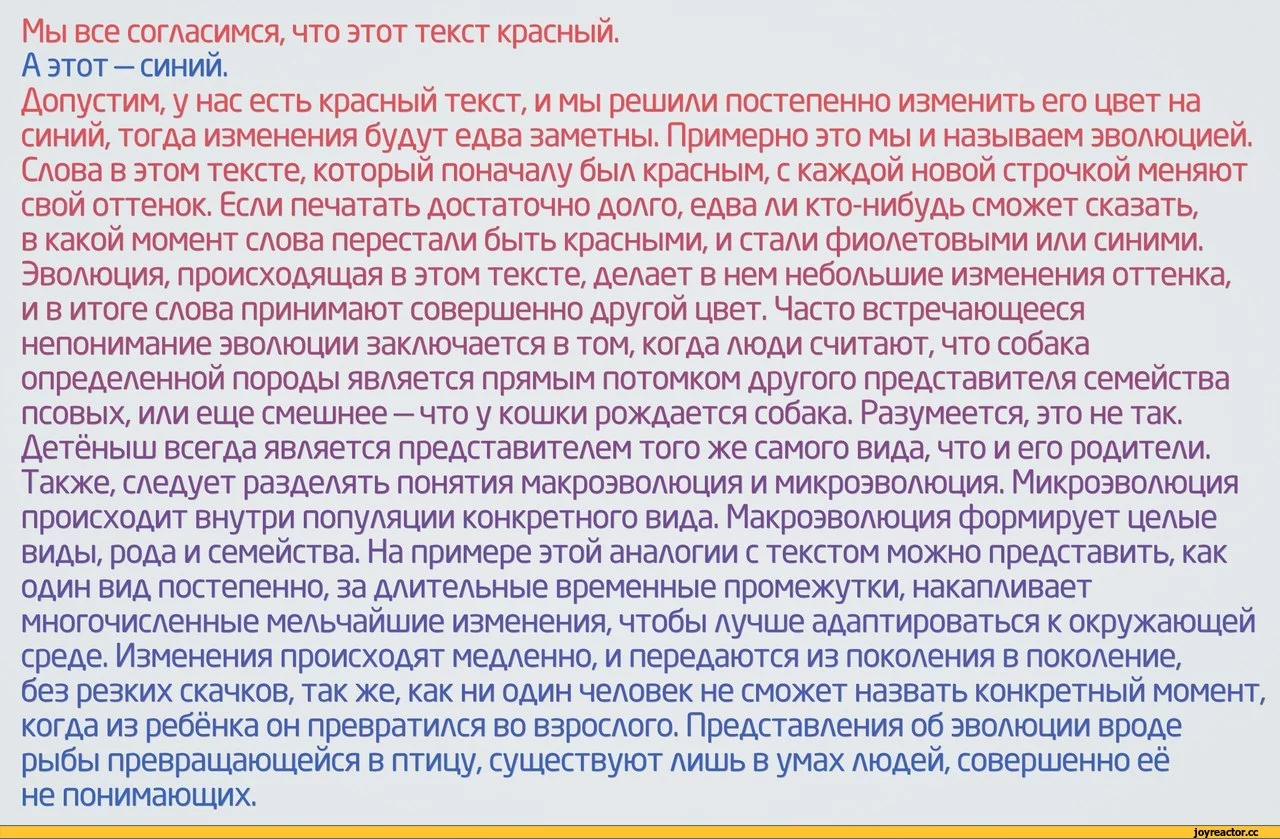 %D1%81%D0%BE%D1%87%D0%BD%D0%B8%D1%86%D0%B0-1660777.webp