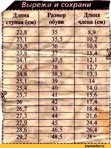 %D1%81%D0%BE%D1%87%D0%BD%D0%B8%D1%86%D0%B0-1760598.jpg