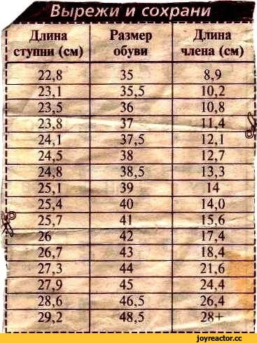 %D1%81%D0%BE%D1%87%D0%BD%D0%B8%D1%86%D0%B0-1760598.webp