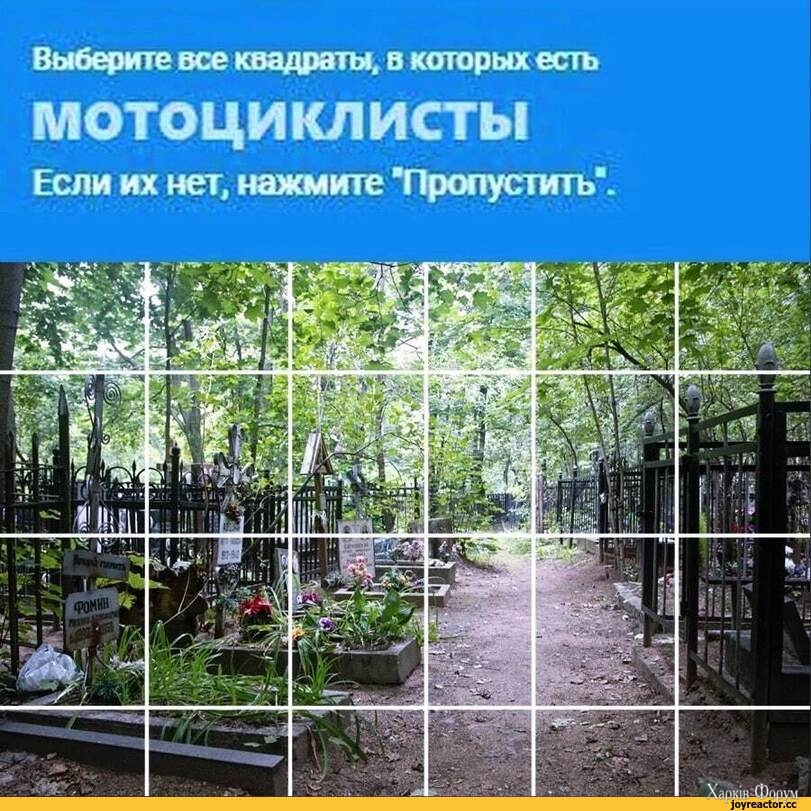 %D1%81%D0%BE%D1%87%D0%BD%D0%B8%D1%86%D0%B0-7066386.jpg